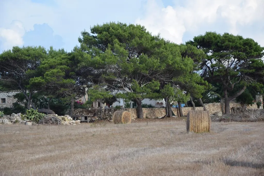 Appartamenti La Pinetina Di 法维尼亚纳 0*,