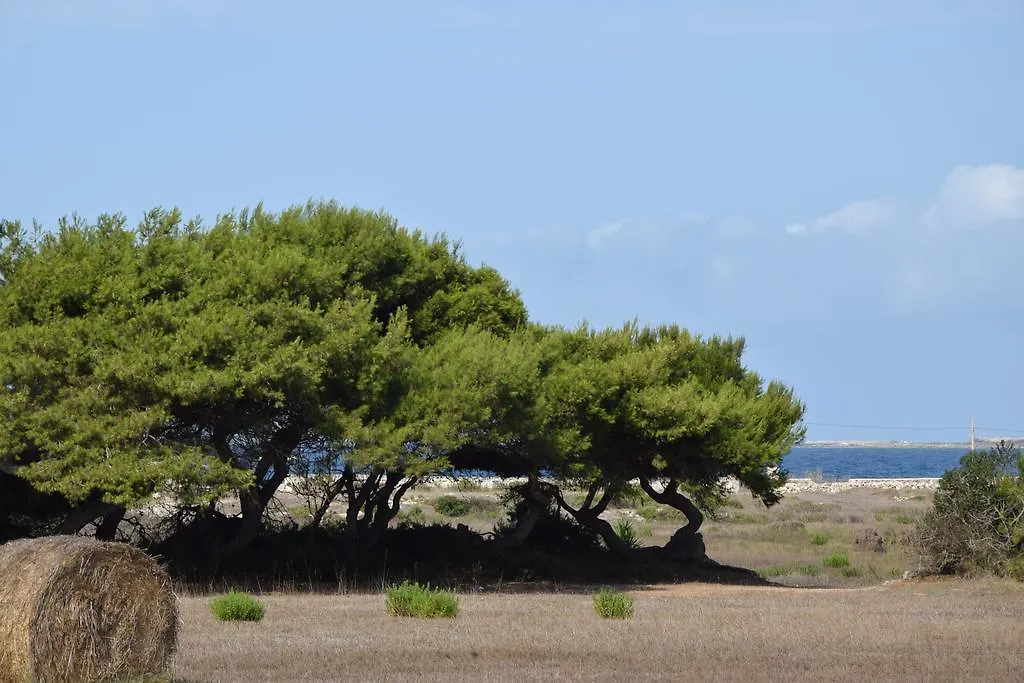 Appartamenti La Pinetina Di 法维尼亚纳 度假居